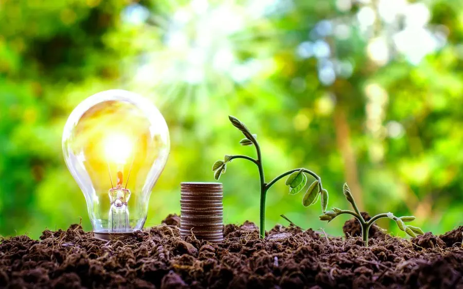 Renewable Natural Gas